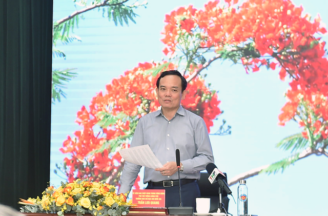 Phó Thủ tướng Trần Lưu Quang làm việc với Hải Phòng về công tác chống buôn lậu - Ảnh 1.