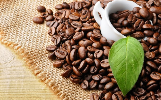 Thúc đẩy nông sản của Việt Nam sang thị trường EU - Ảnh 1.