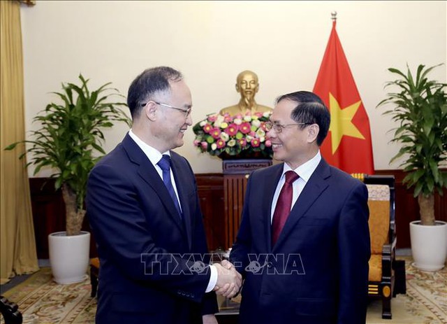 Bộ trưởng Ngoại giao Bùi Thanh Sơn tiếp Trợ lý Bộ trưởng Ngoại giao Trung Quốc Nông Dung