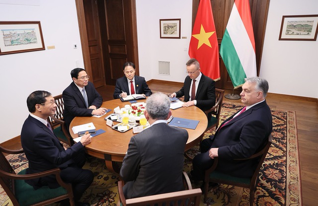 Nâng quan hệ Đối tác Toàn diện Việt Nam-Hungary lên tầm cao mới- Ảnh 1.