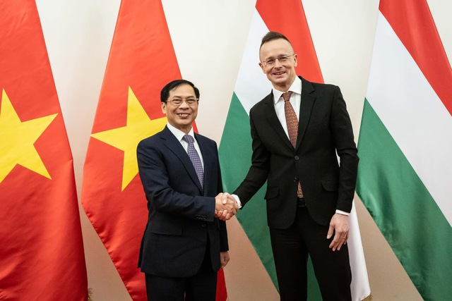 Thúc đẩy hợp tác ngoại giao giữa Việt Nam với Hungary và Romania- Ảnh 2.