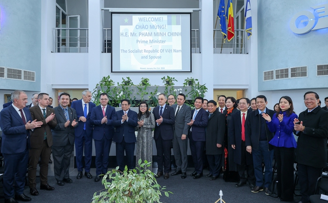Bộ trưởng Romania kêu gọi doanh nghiệp, địa phương nắm bắt cơ hội hợp tác, đầu tư với Việt Nam- Ảnh 8.