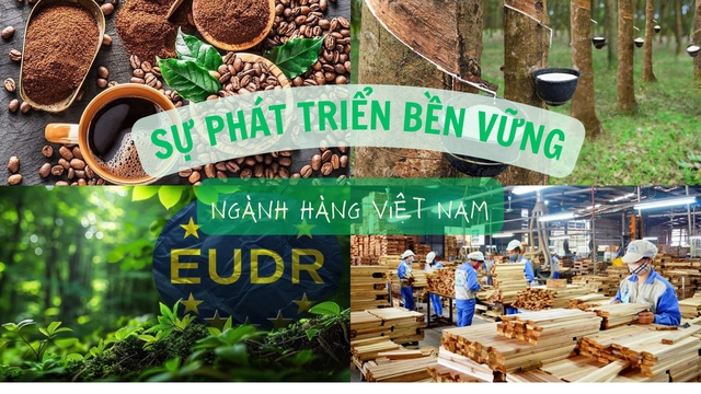 Hành động cho chính sự phát triển bền vững của các ngành hàng Việt Nam- Ảnh 1.