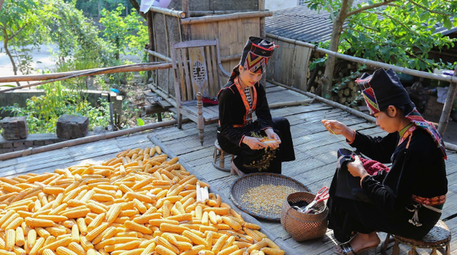 Tạo cơ hội để phụ nữ dân tộc thiểu số tham gia kinh tế, làm chủ chính mình- Ảnh 1.