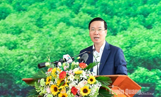 Chủ tịch nước Võ Văn Thưởng phát động Tết trồng cây 'Đời đời nhớ ơn Bác Hồ' Xuân Giáp Thìn 2024 tại Tuyên Quang- Ảnh 2.