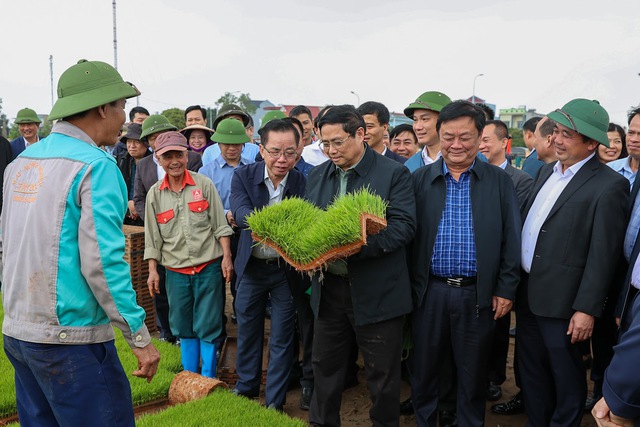Thủ tướng xuống đồng cấy hái cùng nông dân, động viên sản xuất nông nghiệp
