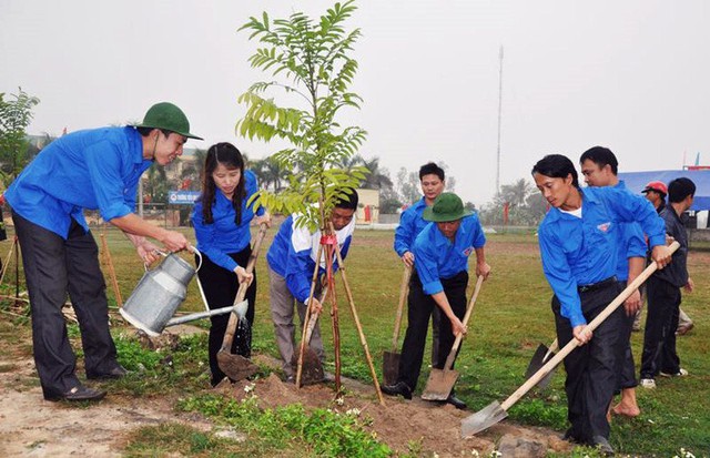 Ngành Giáo dục đẩy mạnh “Tết trồng cây đời đời nhớ ơn Bác Hồ” Xuân Giáp Thìn 2024- Ảnh 1.