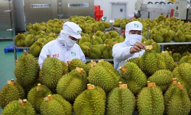 Xuất khẩu rau quả tăng mạnh từ đầu năm- Ảnh 1.