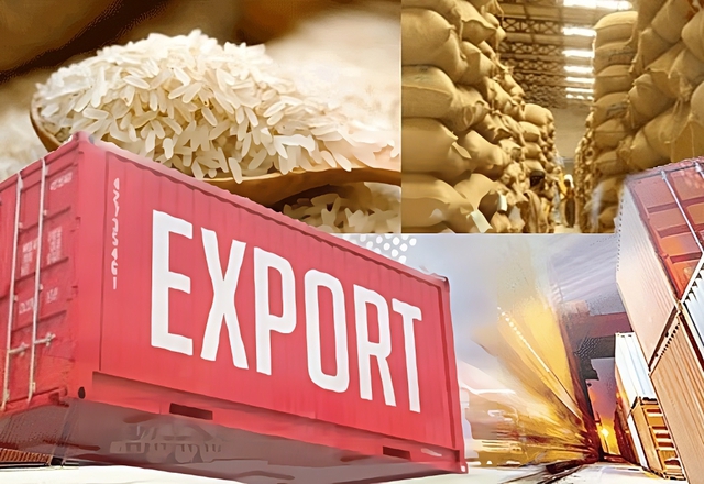 Thêm cơ hội xuất khẩu cho gạo Việt Nam- Ảnh 1.