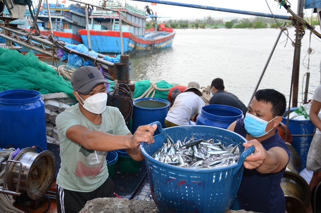 Khánh Hòa triển khai đồng bộ, quyết liệt các giải pháp chống khai thác IUU- Ảnh 1.