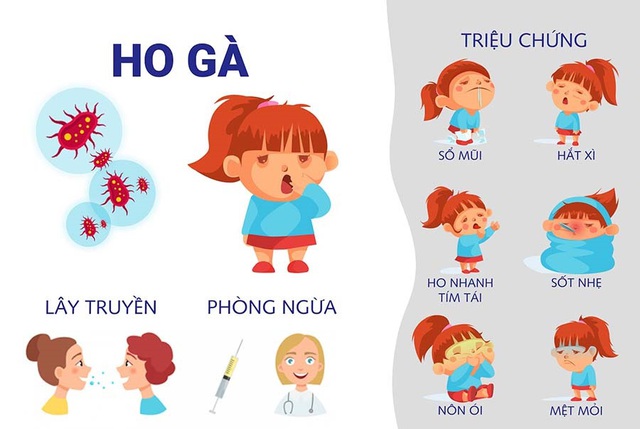 Cảnh báo nguy cơ gia tăng bệnh ho gà- Ảnh 1.