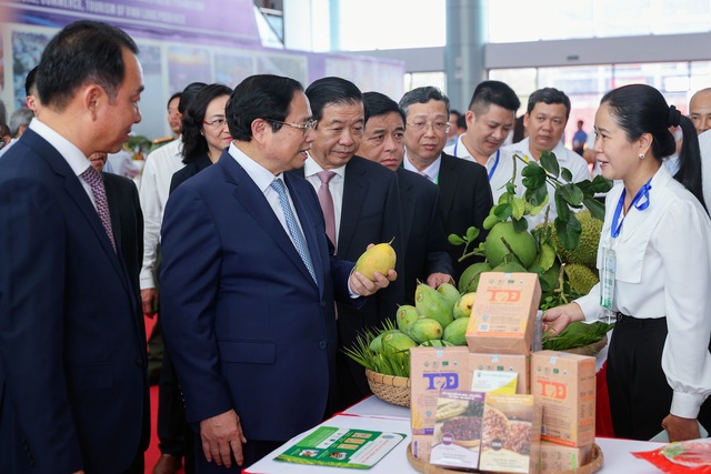 Phát triển Vĩnh Long toàn diện, văn minh, hiện đại, sinh thái, bền vững, có trình độ phát triển khá so với cả nước- Ảnh 6.