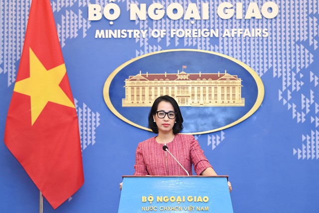 Việt Nam hoan nghênh Nghị quyết về việc ngừng bắn tại Dải Gaza- Ảnh 1.