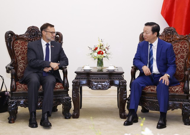 Phó Thủ tướng Trần Hồng Hà tiếp lãnh đạo một số doanh nghiệp năng lượng quốc tế- Ảnh 3.