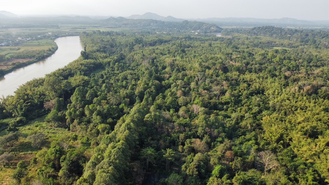 Hình thành thị trường tín chỉ carbon rừng của Việt Nam- Ảnh 2.