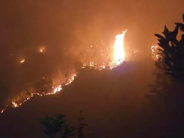Thủ tướng Chính phủ yêu cầu tăng cường triển khai các biện pháp cấp bách phòng cháy, chữa cháy rừng- Ảnh 1.