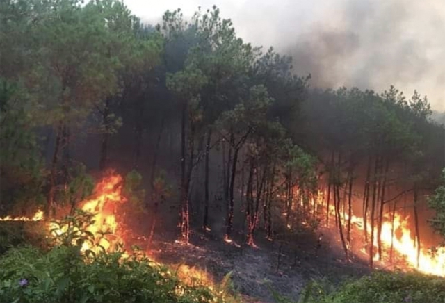 Thủ tướng chỉ đạo quyết liệt triển khai các biện pháp phòng cháy, chữa cháy rừng trên phạm vi cả nước- Ảnh 1.