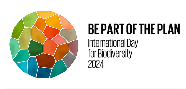 Hưởng ứng Ngày Quốc tế Đa dạng sinh học năm 2024- Ảnh 1.
