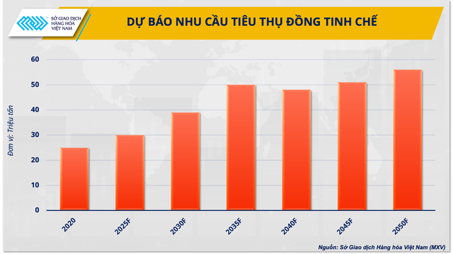 Kim loại đồng sẽ vượt trội trước sự bùng nổ lĩnh vực xe điện- Ảnh 2.