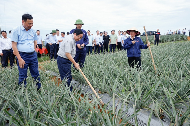 Thủ tướng Phạm Minh Chính khảo sát một số cơ sở, công trình trọng điểm tại Ninh Bình- Ảnh 3.