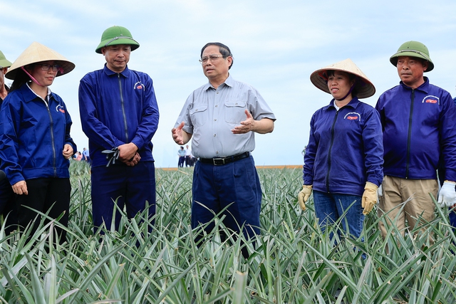 Thủ tướng Phạm Minh Chính khảo sát một số cơ sở, công trình trọng điểm tại Ninh Bình- Ảnh 2.