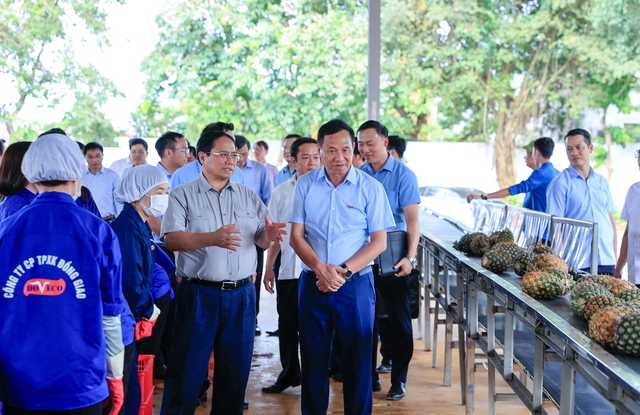 Thủ tướng Phạm Minh Chính khảo sát một số cơ sở, công trình trọng điểm tại Ninh Bình- Ảnh 5.
