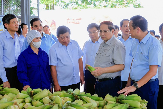Thủ tướng Phạm Minh Chính khảo sát một số cơ sở, công trình trọng điểm tại Ninh Bình- Ảnh 6.