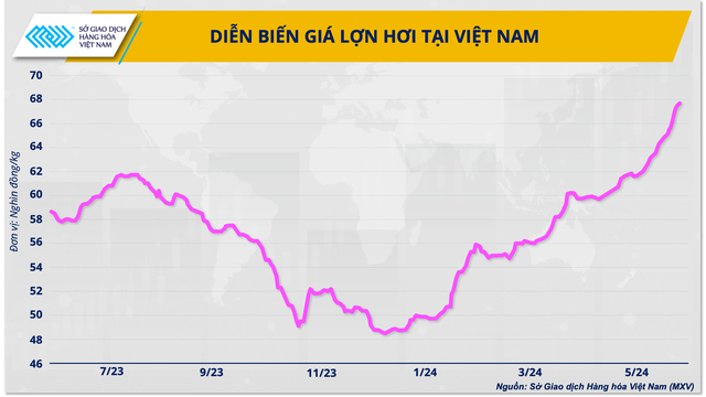 Ba giải pháp cho ngành chăn nuôi vững đà tăng trưởng năm 2024- Ảnh 1.