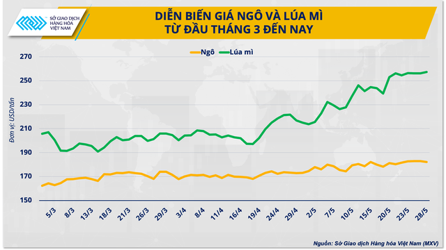 Ba giải pháp cho ngành chăn nuôi vững đà tăng trưởng năm 2024- Ảnh 3.