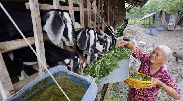 Bình Thuận: Lan tỏa phong trào gửi tiết kiệm chung tay vì người nghèo- Ảnh 3.