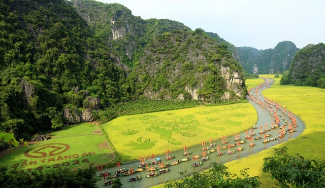 Bức tranh "Mục đồng thổi sáo" được tạo hình trên cánh đồng lúa rộng lớn ở Tam Cốc là điểm nhấn của Tuần Lễ du lịch Ninh Bình năm 2024 - Ảnh: VGP/Minh Đường