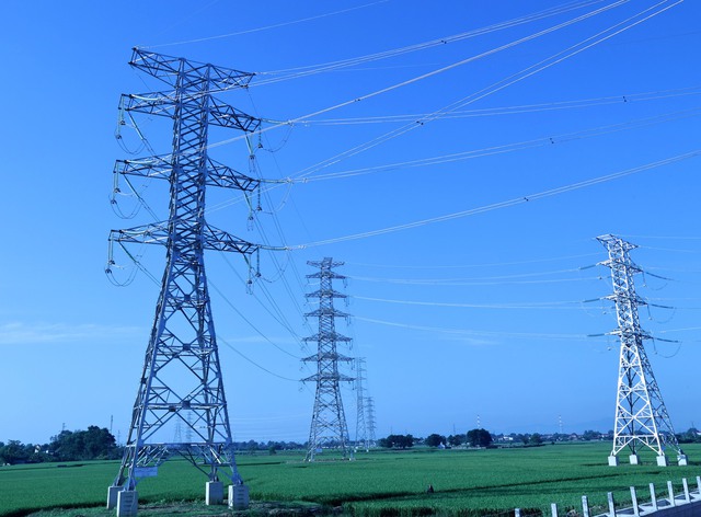 Chùm ảnh: Lễ khánh thành dự án đường dây 500 kV mạch 3 Quảng Trạch-Phố Nối- Ảnh 12.