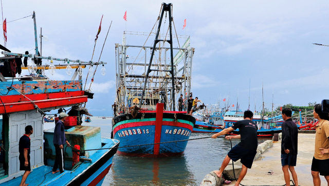 Sẵn sàng lực lượng, chủ động ứng phó với áp thấp nhiệt đới- Ảnh 1.