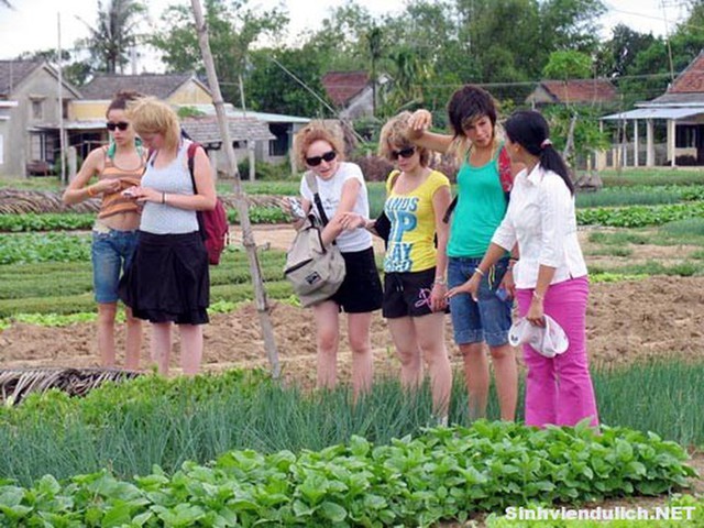 Văn minh lúa nước, điểm tựa phát triển du lịch nông nghiệp bền vững - Ảnh 1.