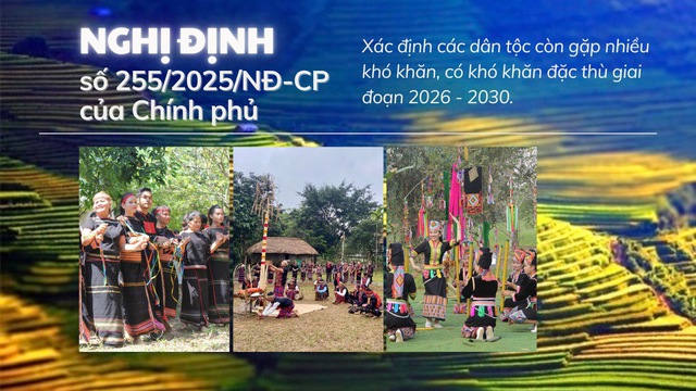 NGHỊ ĐỊNH SỐ 255/2025/NĐ-CP: Định lượng cụ thể về suy giảm dân số (Bài 2)- Ảnh 1.