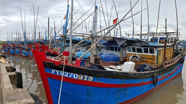 Bão Kalmaegi: Gia Lai cho học sinh nghỉ học; Đắk Lắk cấm biển, lập 3 đoàn kiểm tra- Ảnh 1. Bão Kalmaegi: Gia Lai cho học sinh nghỉ học; Đắk Lắk cấm biển, lập 3 đoàn kiểm tra- Ảnh 1.