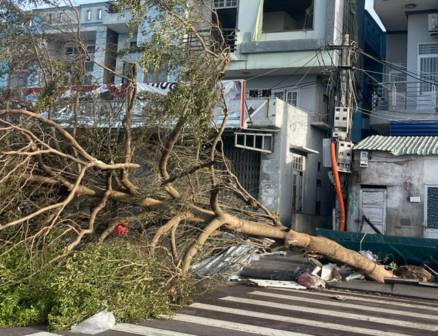 CHÙM ẢNH: Gia Lai khẩn trương ổn định cuộc sống người dân sau bão số 13- Ảnh 7.