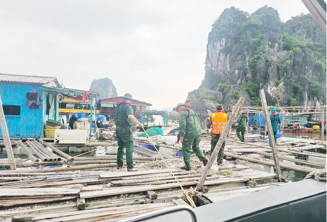 Các địa phương chủ động ứng phó với bão Wipha- Ảnh 1.