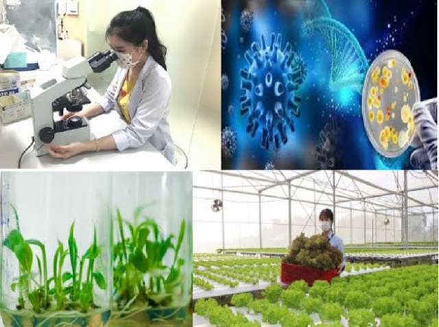 Cơ chế thử nghiệm linh hoạt: Đòn bẩy đổi mới trong nông nghiệp hiện đại- Ảnh 1.