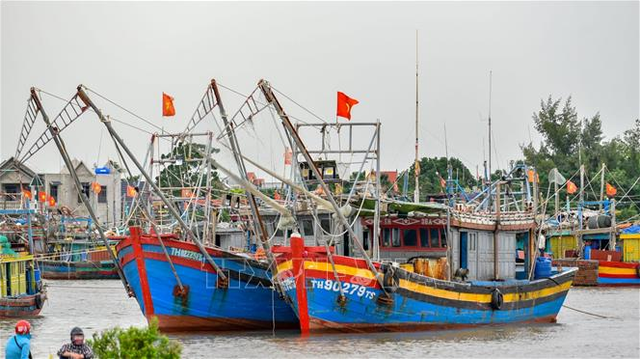 Nhiều tỉnh, thành kêu gọi tàu thuyền vào nơi tránh trú bão an toàn - Ảnh 1.