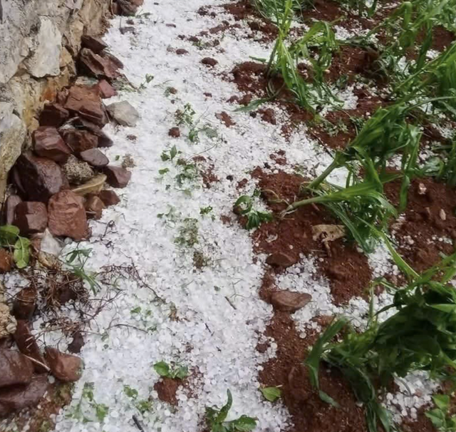 Chủ động ứng phó dông, lốc, mưa đá trong cao điểm chuyển mùa - Ảnh 1. Chủ động ứng phó dông, lốc, mưa đá trong cao điểm chuyển mùa - Ảnh 1.