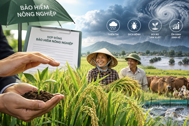 Tăng mức hỗ trợ phí bảo hiểm cho người sản xuất nông nghiệp- Ảnh 1.