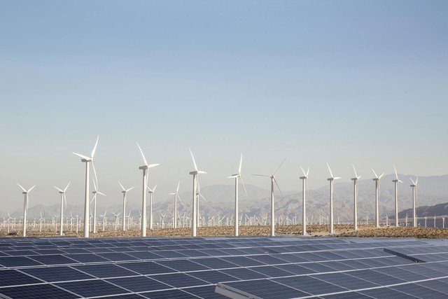 Viet Nam’s potential as powerhouse for renewable energy - Ảnh 1.