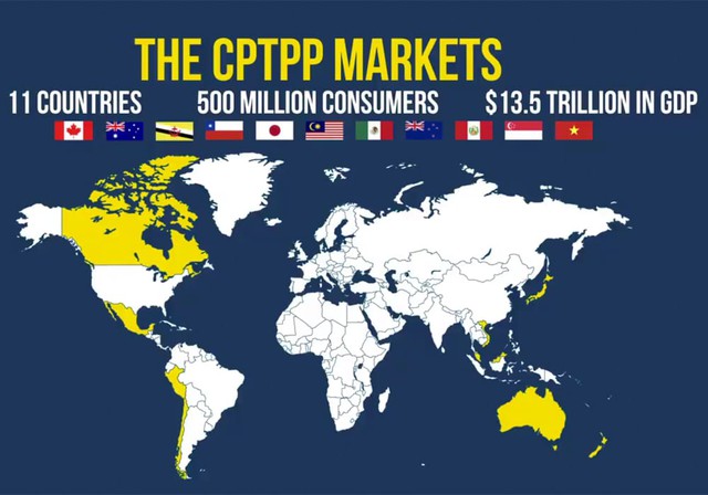 Viet Nam’s exports to CPTPP markets up 38.7% during Jan-August - Ảnh 1.