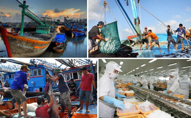 Viet Nam becomes world’s third largest seafood exporter  - Ảnh 1.