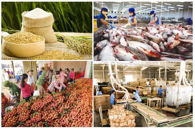Farm product exports up nearly 12% in 11 months  - Ảnh 1.