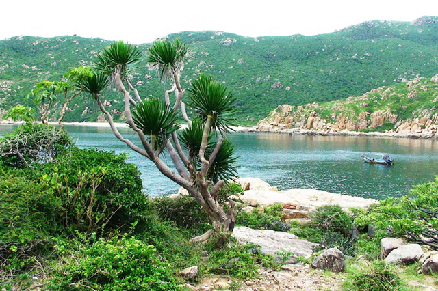 Nui Chua National Park receives UNESCO’s certificate - Ảnh 1.