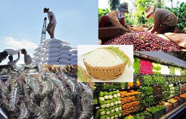 Agro-forestry-aquatic exports up nearly 17 pct in five months  - Ảnh 1.