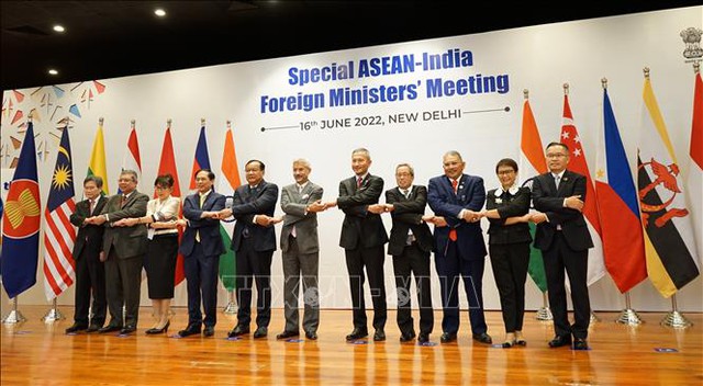 Foreign Minister attends Special ASEAN-India Foreign Ministers’ Meeting - Ảnh 1.