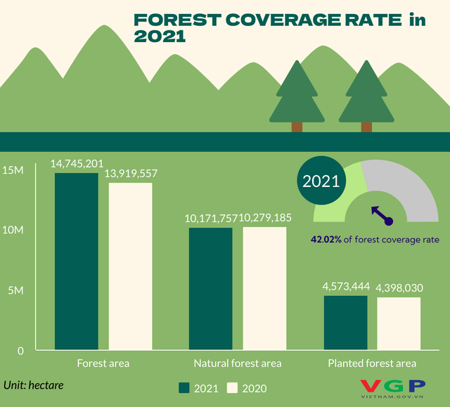 Forest coverage hits 42.02% by end of 2021  - Ảnh 1.